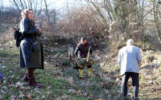 Rüyasında gördü, kurban kesip kazılara başladı!