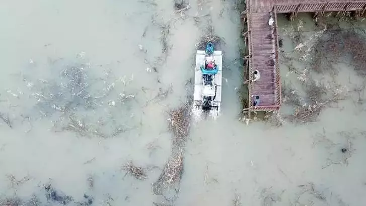 Efteni Gölü’nde temizleme çalışması başlatıldı