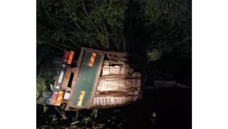 Kamyon sürücüsü yaralandı… Onlarca tavuk öldü…