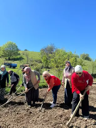 Köylerde Anneler Günü’nü kutlayıp tarlada çalıştılar
