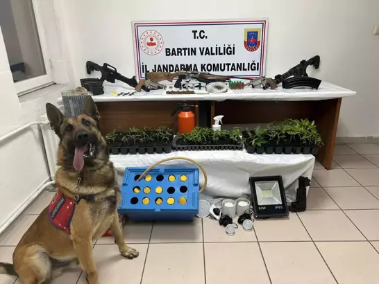 Samanlıktaki uyuşturucuyu ‘Duman’ buldu… 1 tutuklu