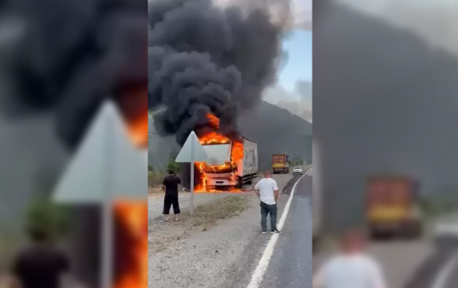 TIR şoförü yardım istedi… Cayır cayır yandı…