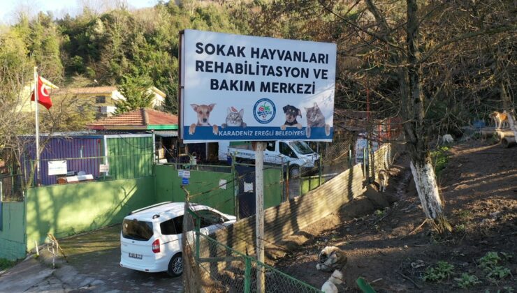 4 EKİM DÜNYA HAYVANLARI KORUMA GÜNÜ..