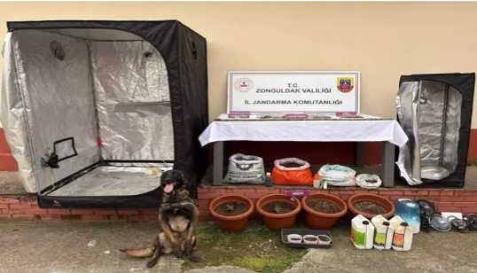 U*uşturucu operasyonu… Tutuklular var…