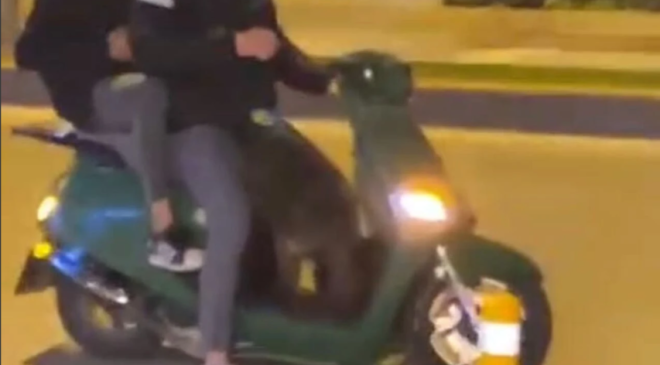 Sokak köpeğinin motor sevdası kamerada….