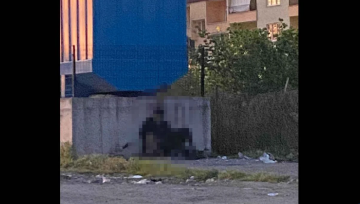 Köpeğe c*nsel istismar… Mahkeme sonuçlandı…