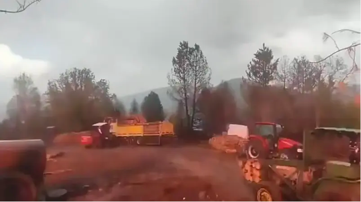 Orman işçilerinin yakınına yıldırım düştü; o anlar kamerada