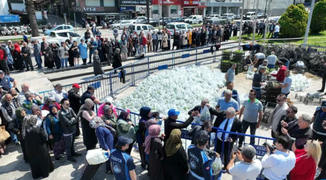 350 bin ATA tohumu fidesi ücretsiz dağıtıldı