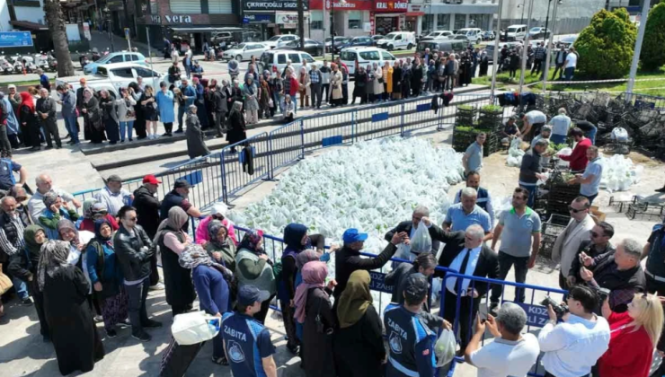 350 bin ATA tohumu fidesi ücretsiz dağıtıldı