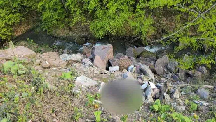 Binlerce saat kamera kaydı incelendi, c*nayet şüphelisi bir günde yakalandı
