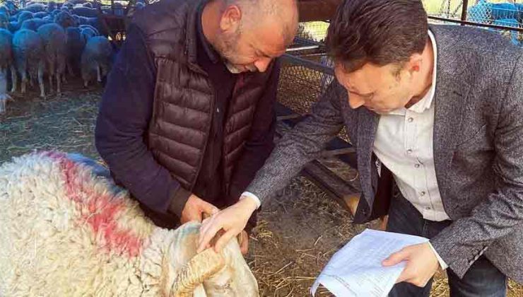 Pazar denetlendi, kurban yakalama timi kuruldu…