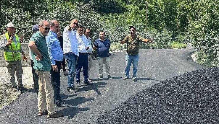 Kaymakam Köksal asfalt çalışmalarını inceledi…