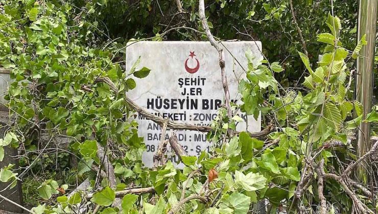 Mezarlarımızı bulamıyoruz… Ölüsüne saygısı olmayan!…