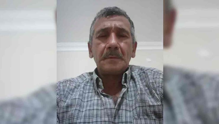Ağaç dalının çarptığı orman işçisi öldü…